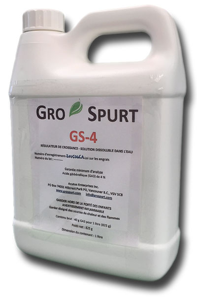 GS4 Bottle Web